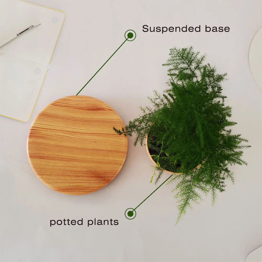 Levitating Plant Pot