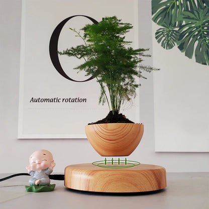 Levitating Plant Pot